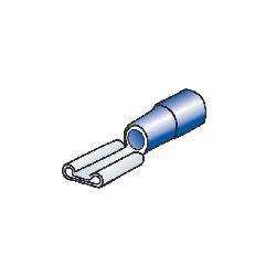 CAPICOR.PIATTI FEMM.BLU PZ.10