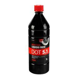 51854